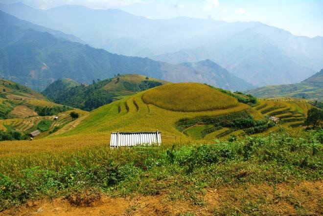 Terraced paddy fields in Chieng An - ảnh 9